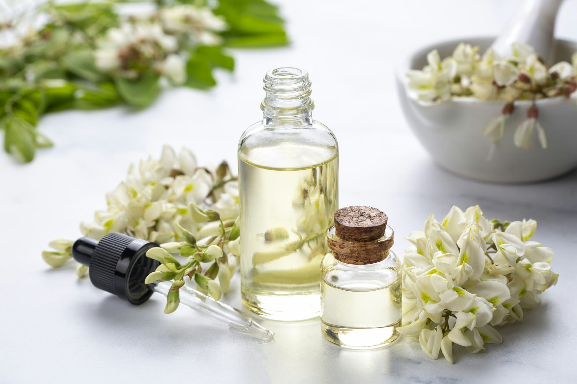 Robinia (false acacia) essential oil (remedy, extract) bottle with fresh acacia flowers